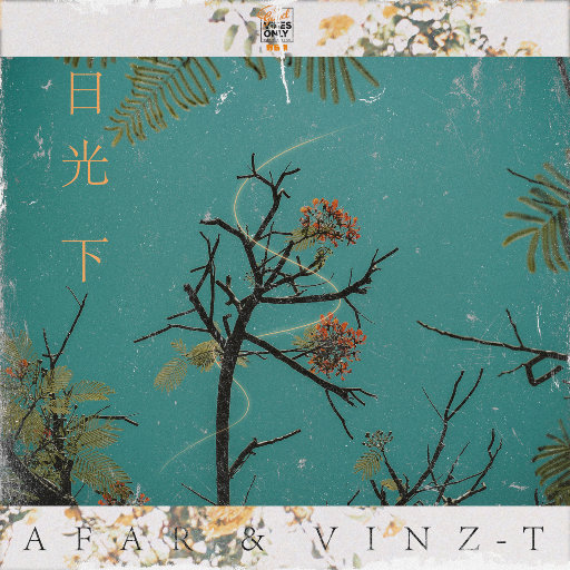 三级黄色片网站
